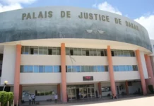 Palais de justice : un faux juge arrêté pour usurpation de fonction, usage de fausse qualité et extorsion de fonds